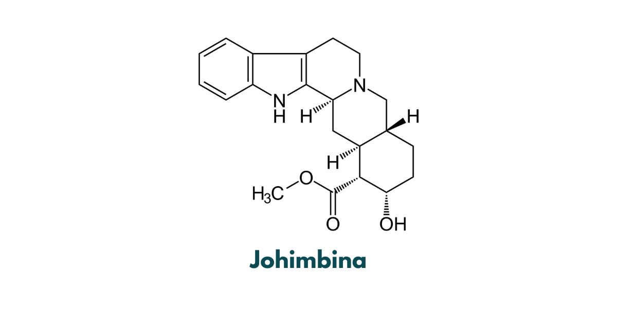 co to jest johimbina definicja
