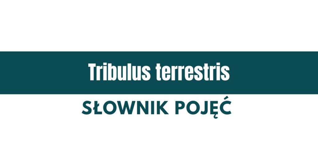 skutki uboczne tribulus terrestris definicja buzdyganek naziemny farmacja sportowa farmacja w sporcie farmaceuta sportowy