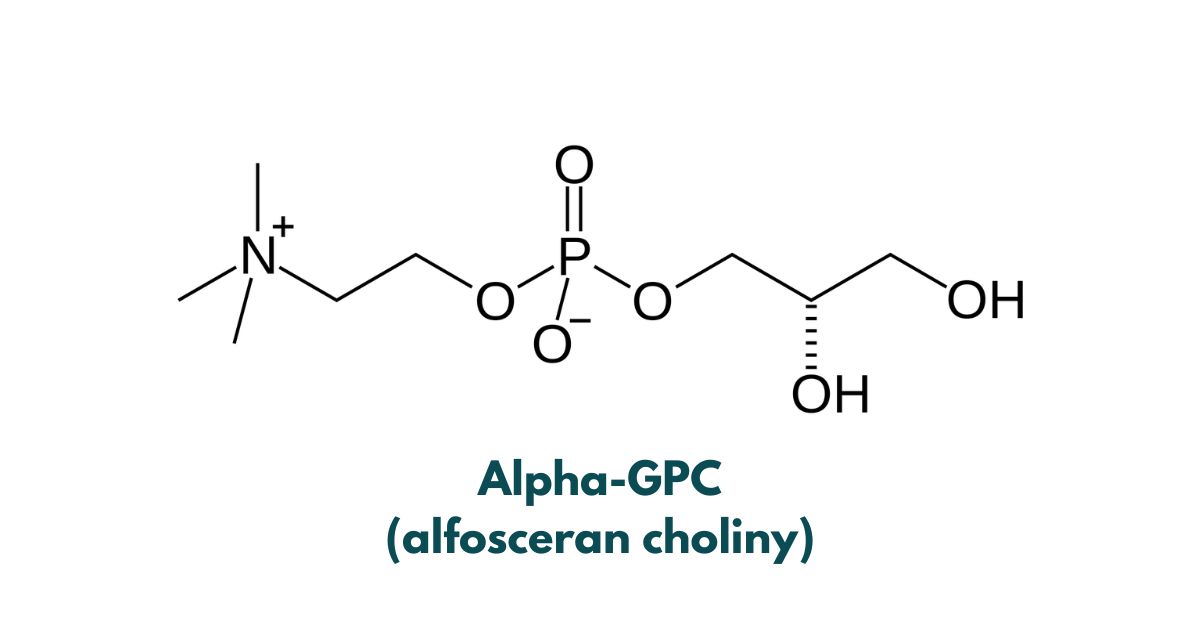 co to jest alpha-gpc (alfosceran choliny)