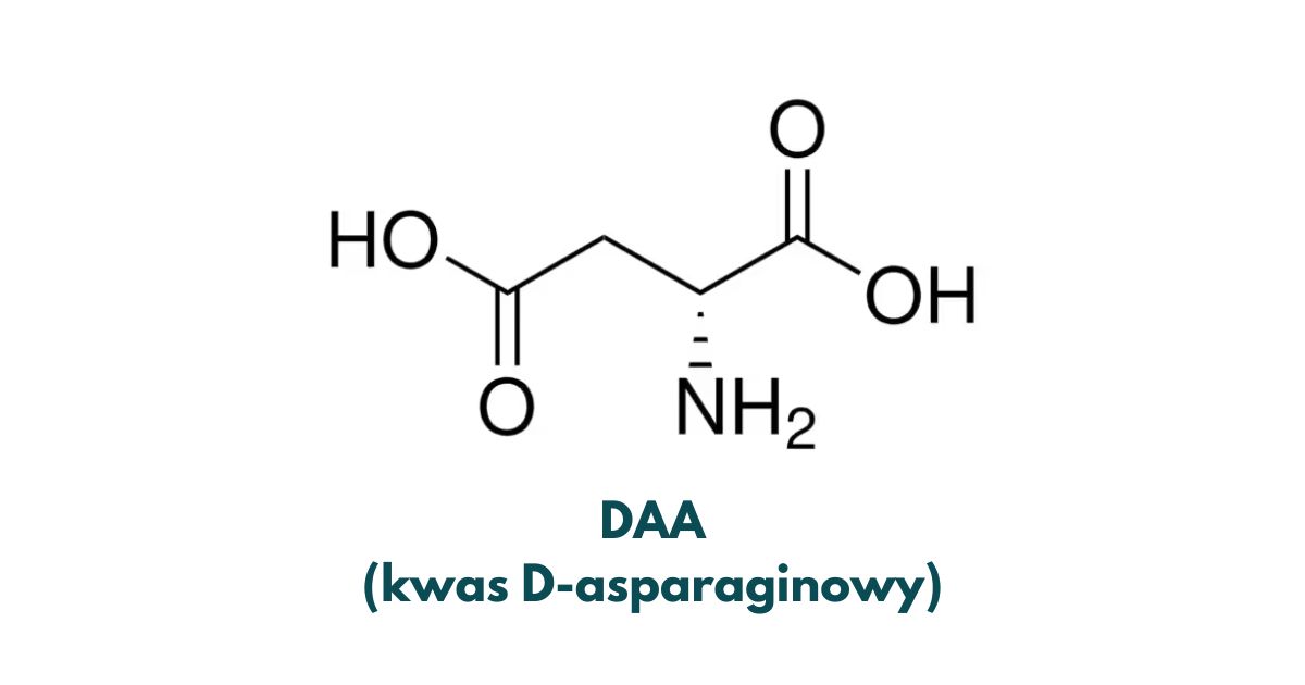 co to jest DAA (kwas d-asparaginowy) definicja