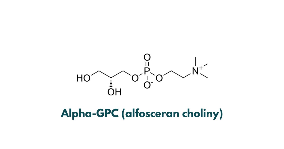 co to jest alpha-gpc (alfosceran choliny)