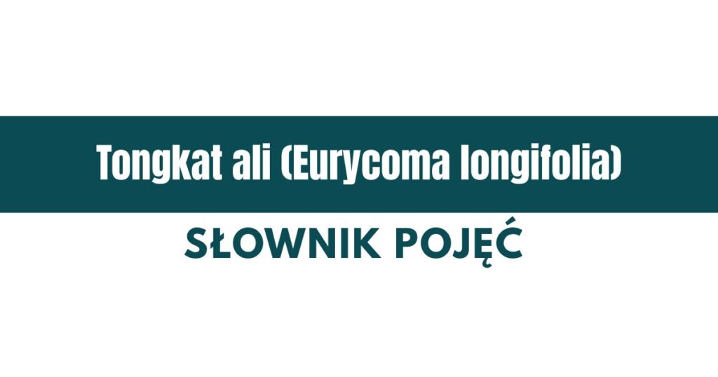 co to jest tongkat ali (eurycoma longifolia)