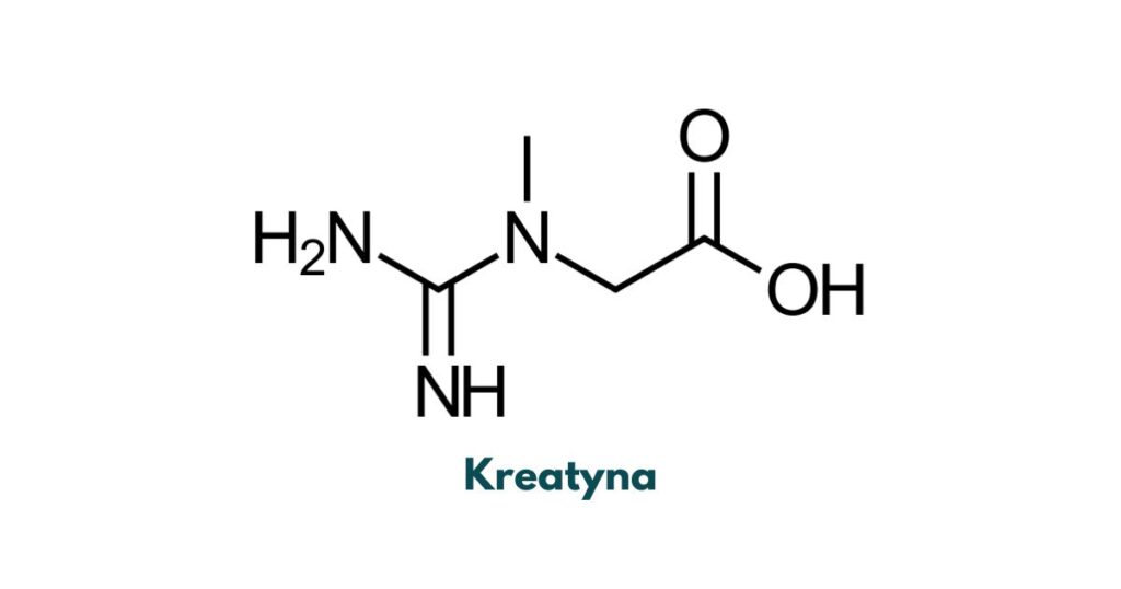 kreatyna monohydrat kreatyny farmacja sportowa farmacja w sporcie farmaceuta sportowy